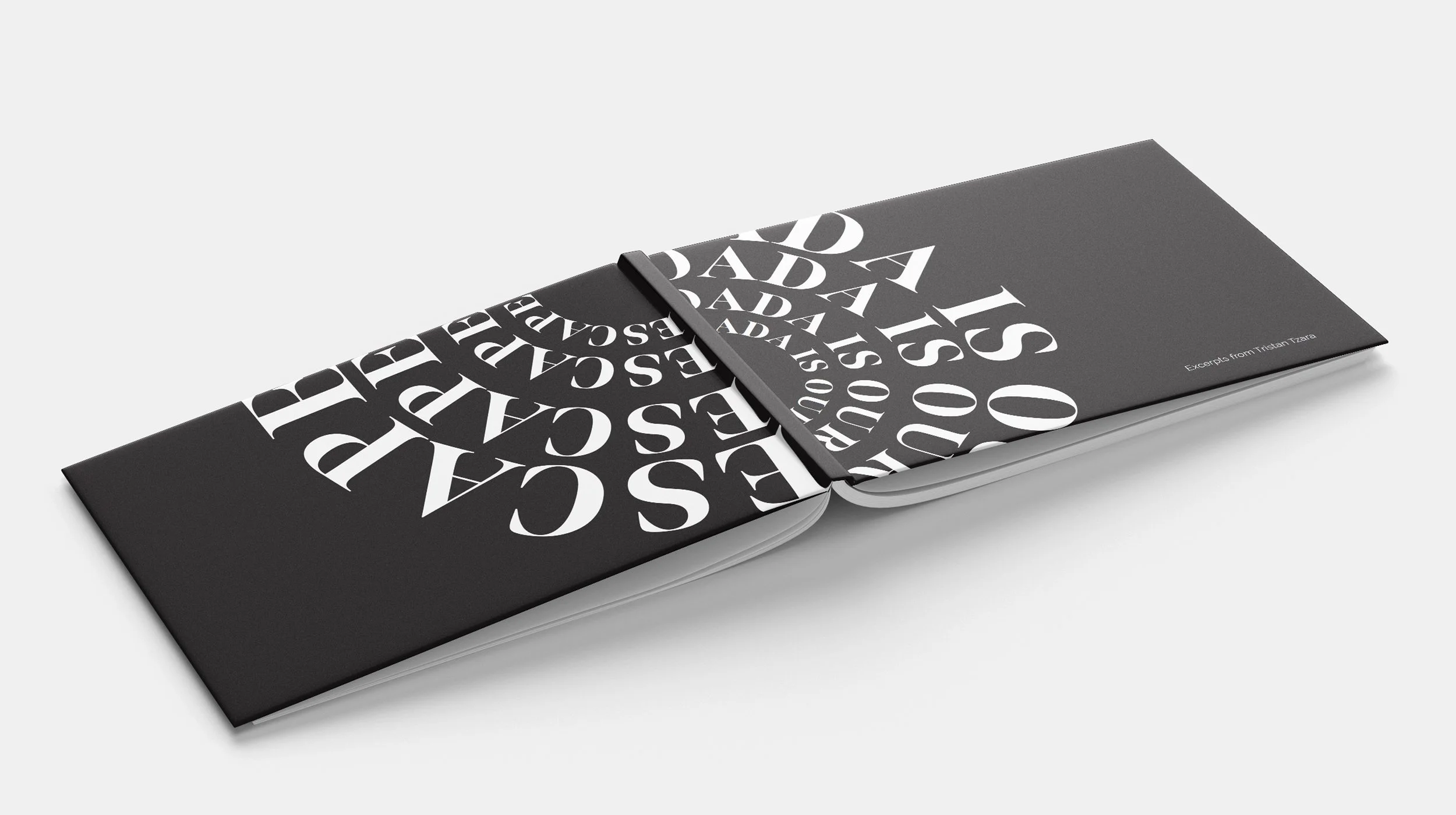 DADA MANIFESTO BOOK — SOFIA DEMPSEY