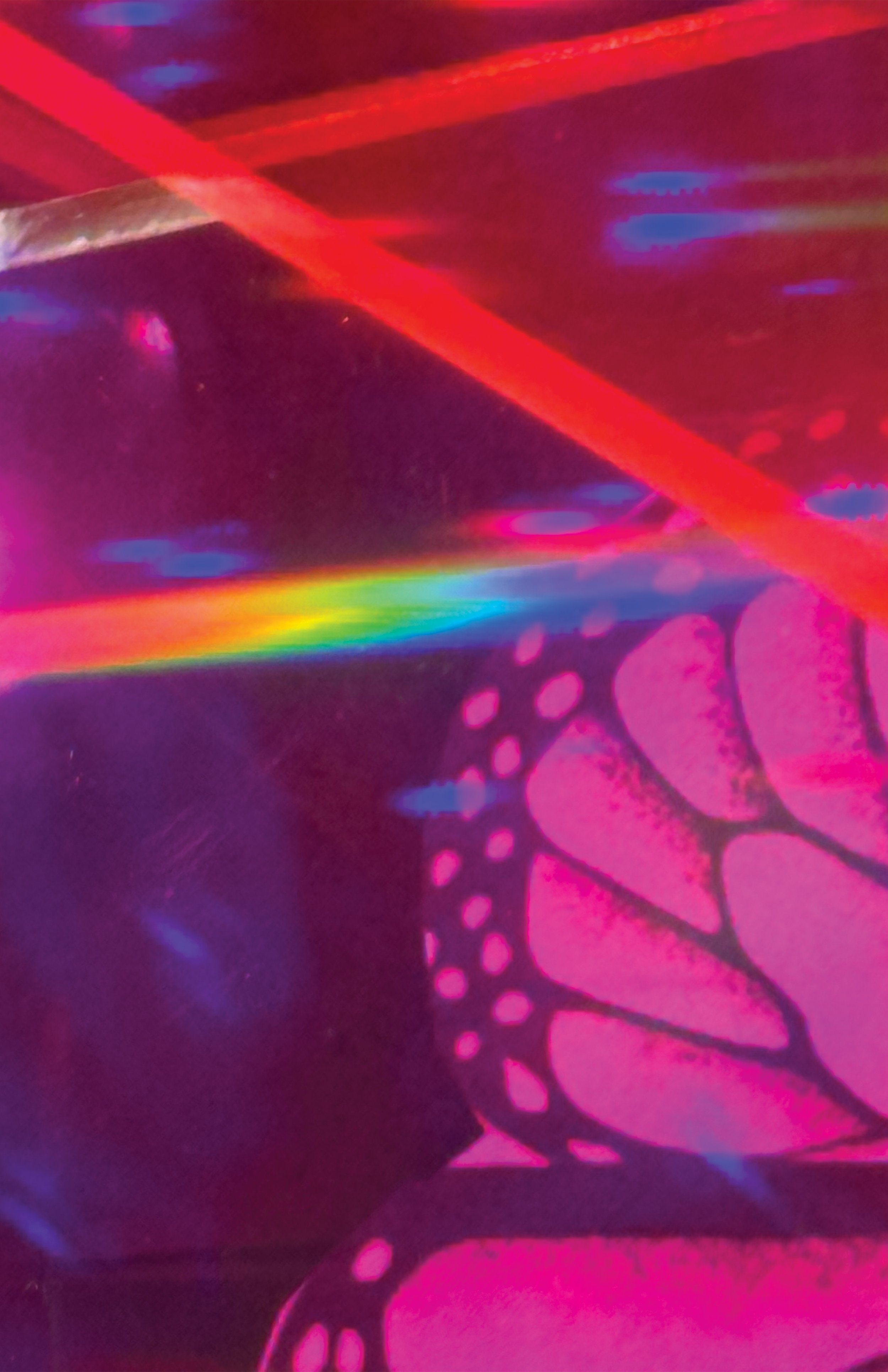 pink-butterfly.jpg