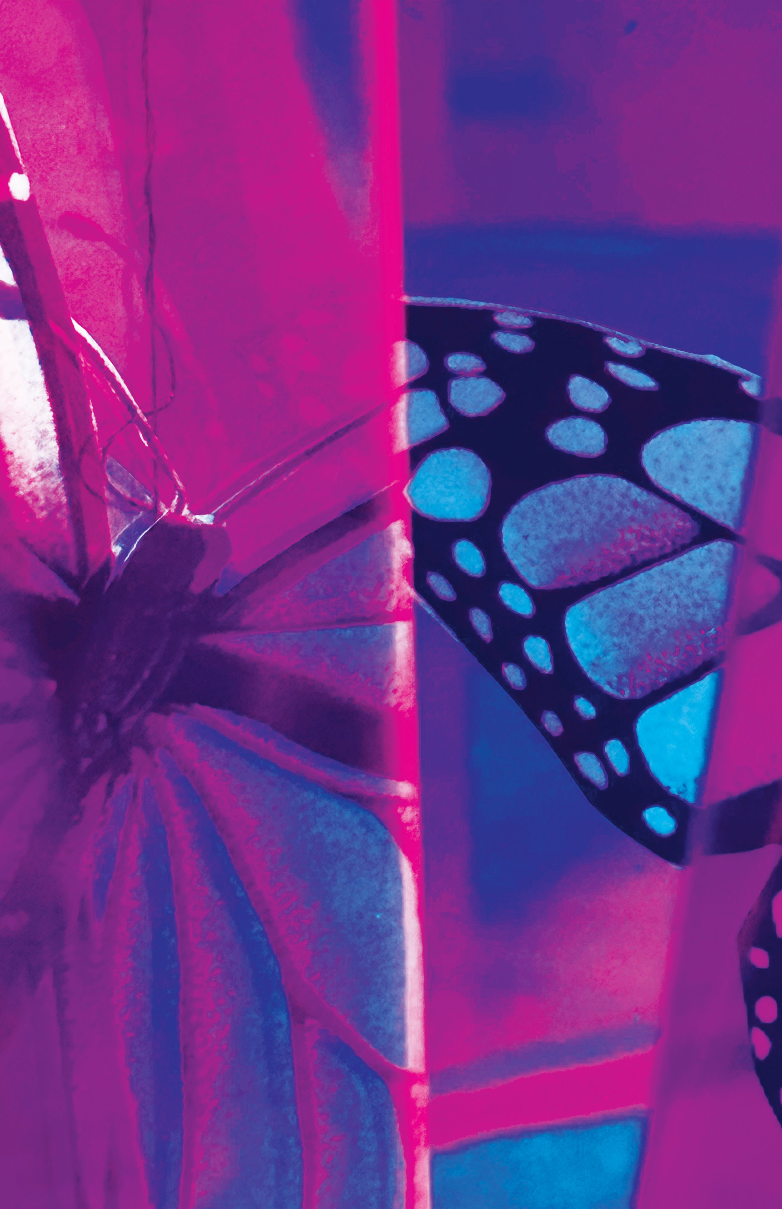 final-butterfly-#12.jpg