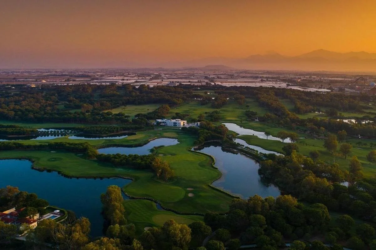 pasha3.jpg