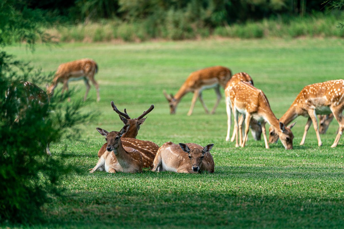 ADC_Summer Camp Albarella-308.jpg