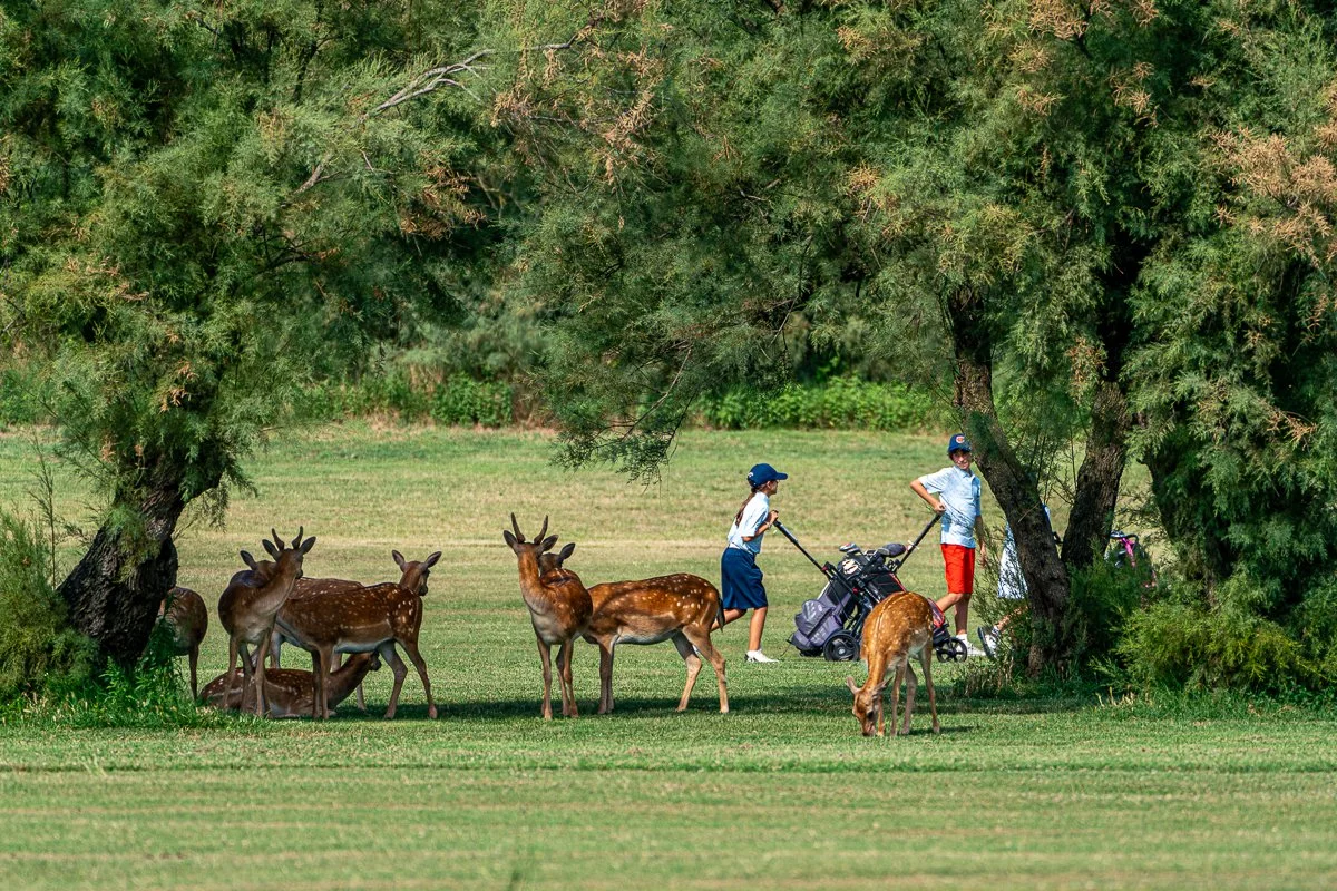 ADC_Summer Camp Albarella-369.jpg