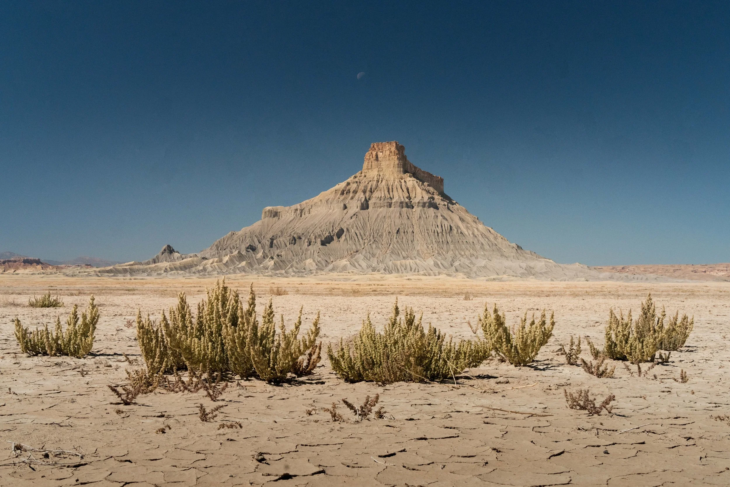 DSC03610-Edit.jpg