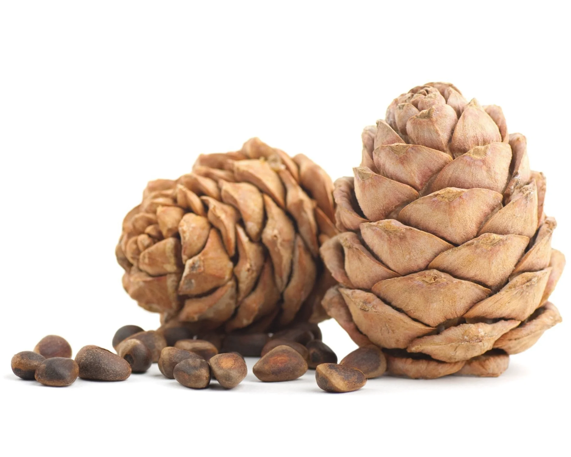 AdobeStock_39713479.jpg