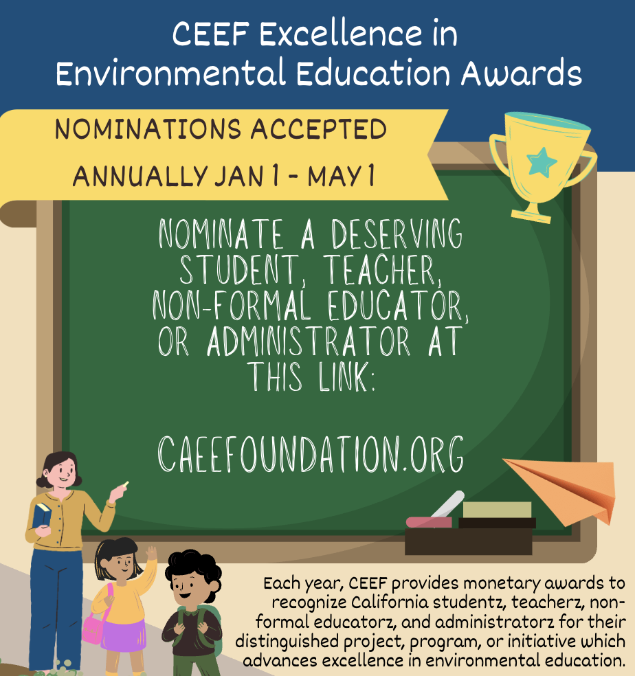 CEEF Award Flyer Thumbnail.png