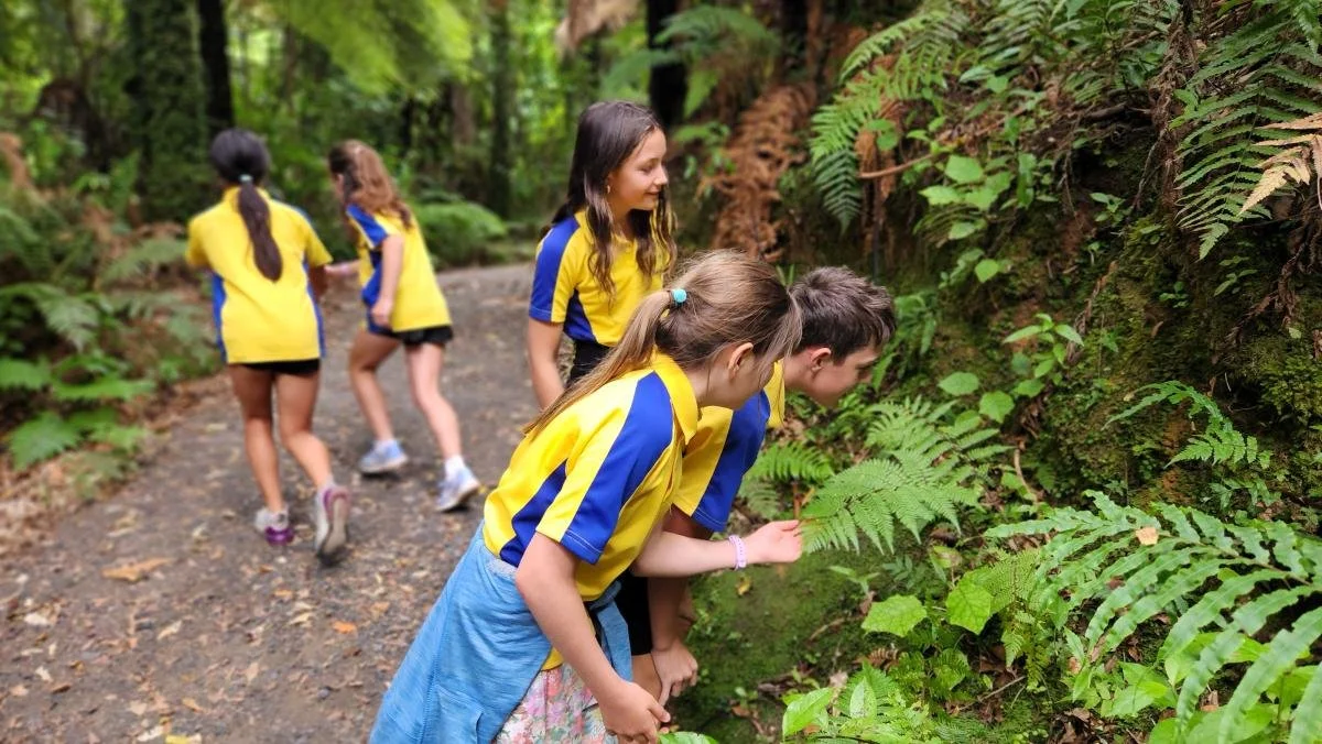 Sanctuary Mountain Maungatautari also has an education programme.