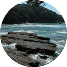 Rocky shoreline with waves crashing against the rocks during daytime.