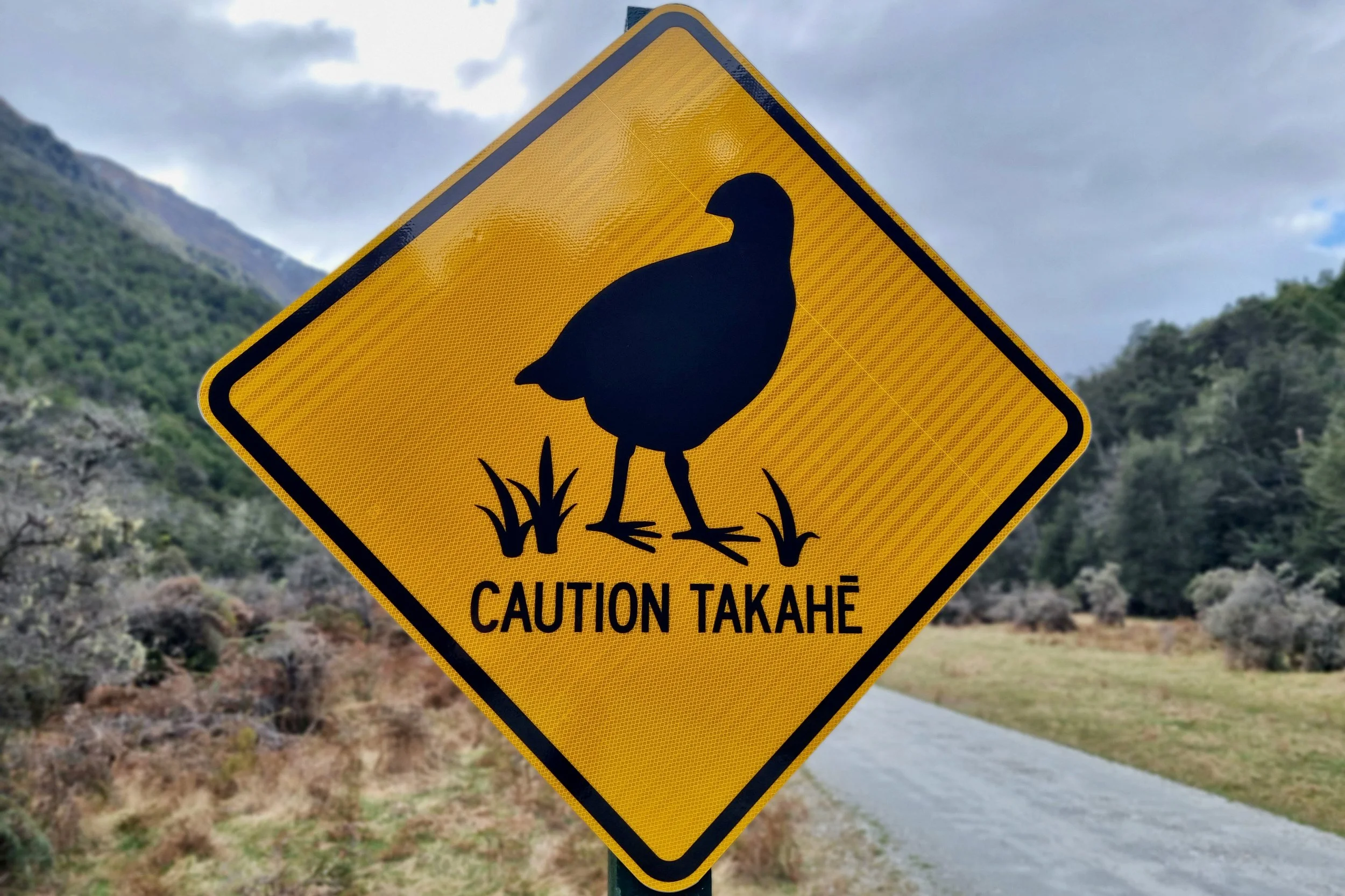 A road sign with a silhouette of a takahē and the words Caution Takahē.
