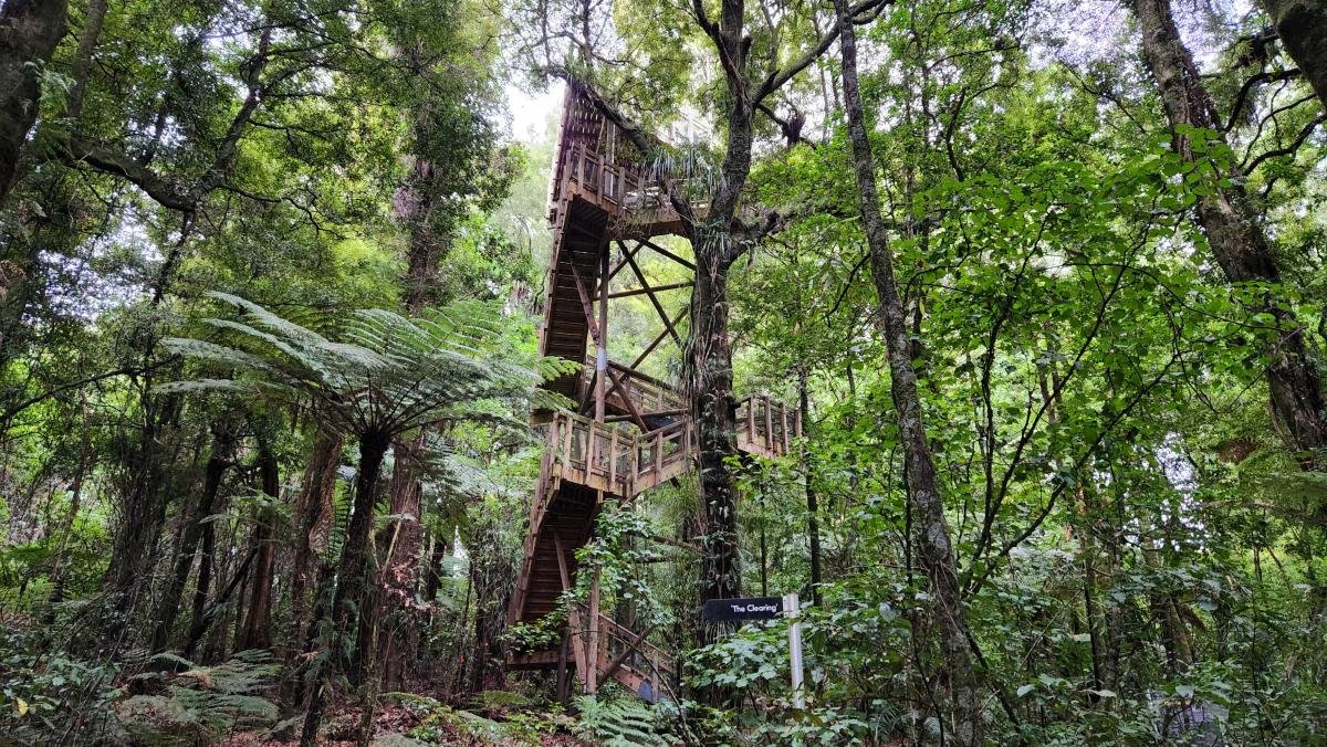 The viewing tower in Te Tui a Tane.