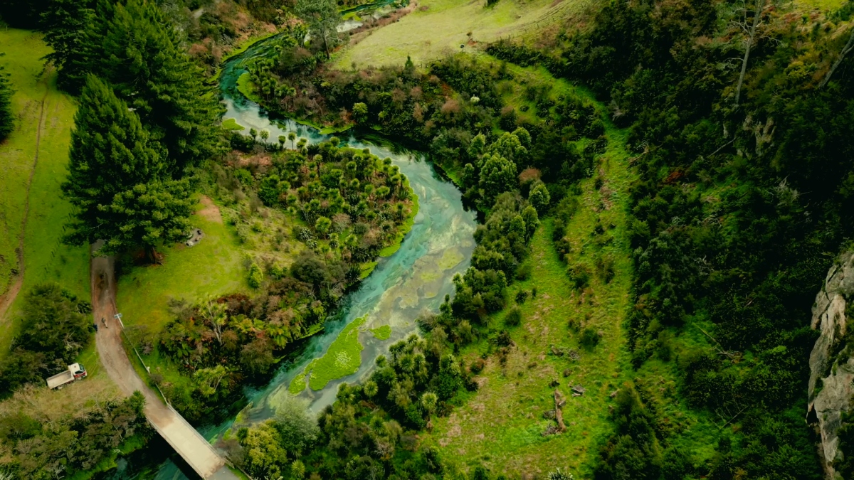 A river from above