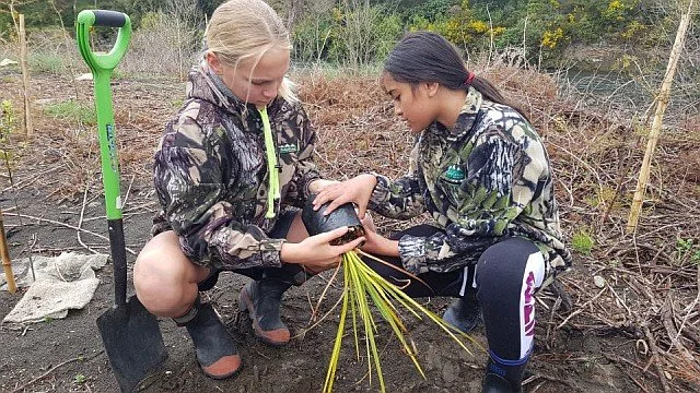 Two girls planting a sapling in a garden bed, with a small shovel nearby.