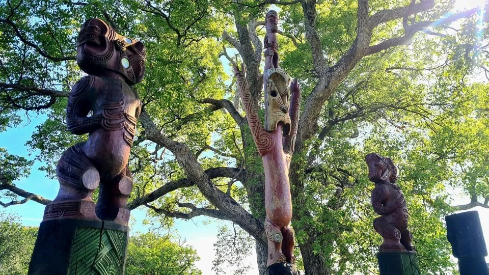 What remains of Ōtūmoetai Pā is now a public reserve. Images and information panels located around the site offer a glimpse into the rich history of the people who lived there. Image: LEARNZ.