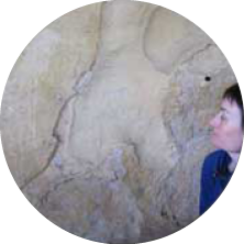 A person looking at a large map or mural on a wall.