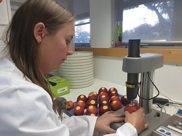 Young woman in a lab coat scanning an apple with a handheld device for a scientific analysis in a laboratory setting.