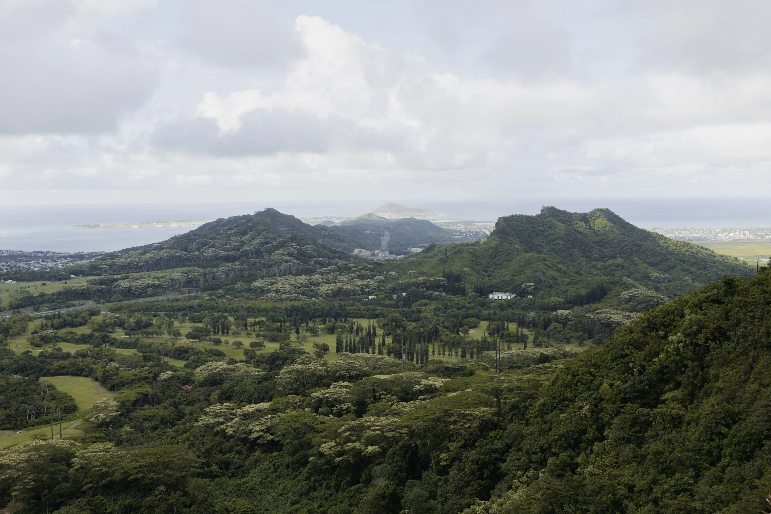 Pali-30.jpg