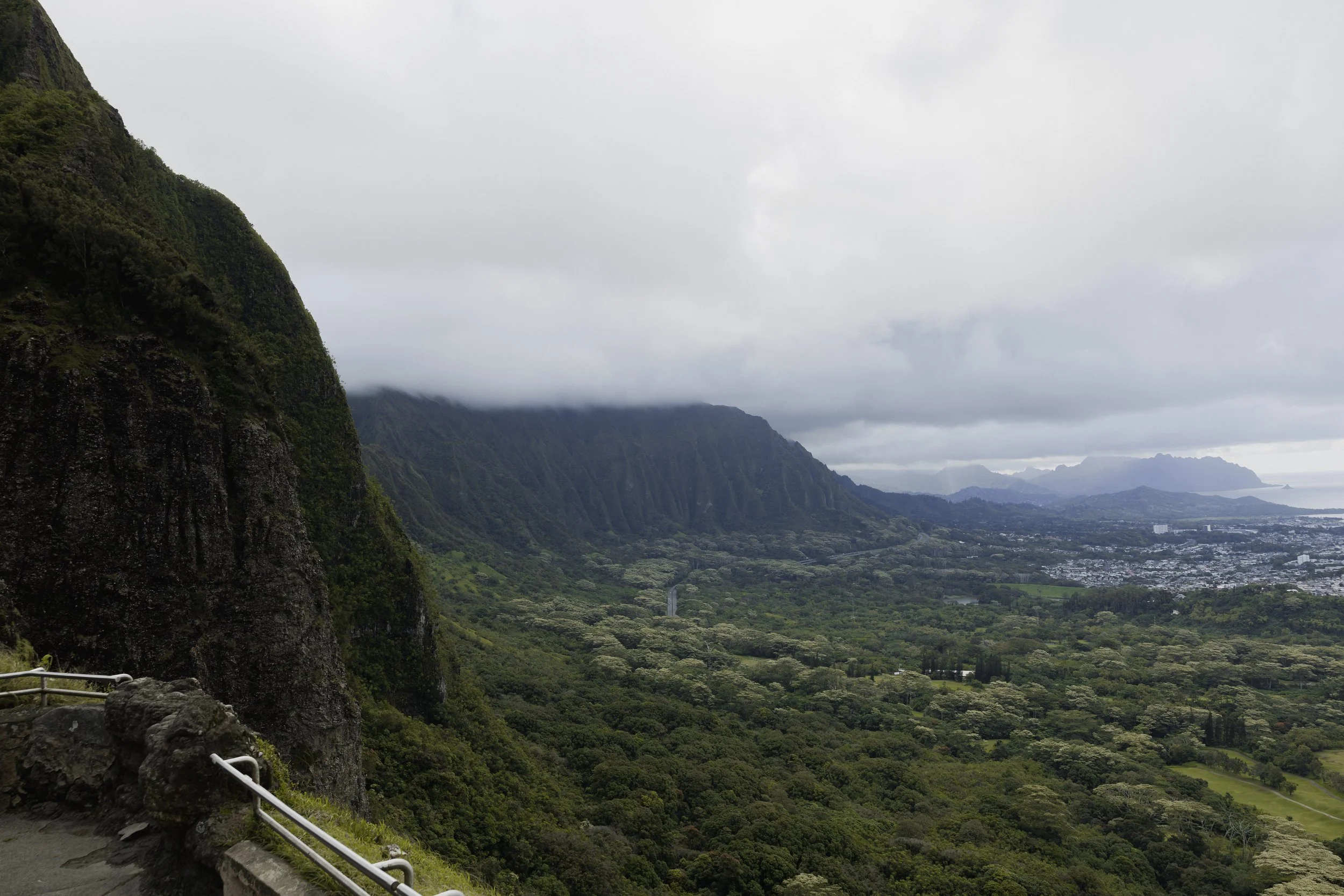 Pali-29.jpg