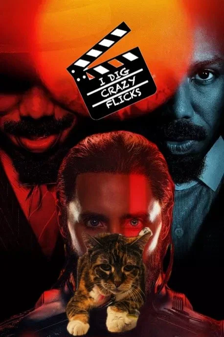 Eva the Queen Kitty with Stacks, Ares, and Smoke