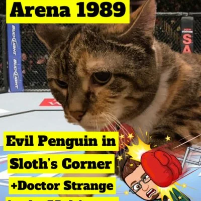 Eva the Queen Kitty of the octagon