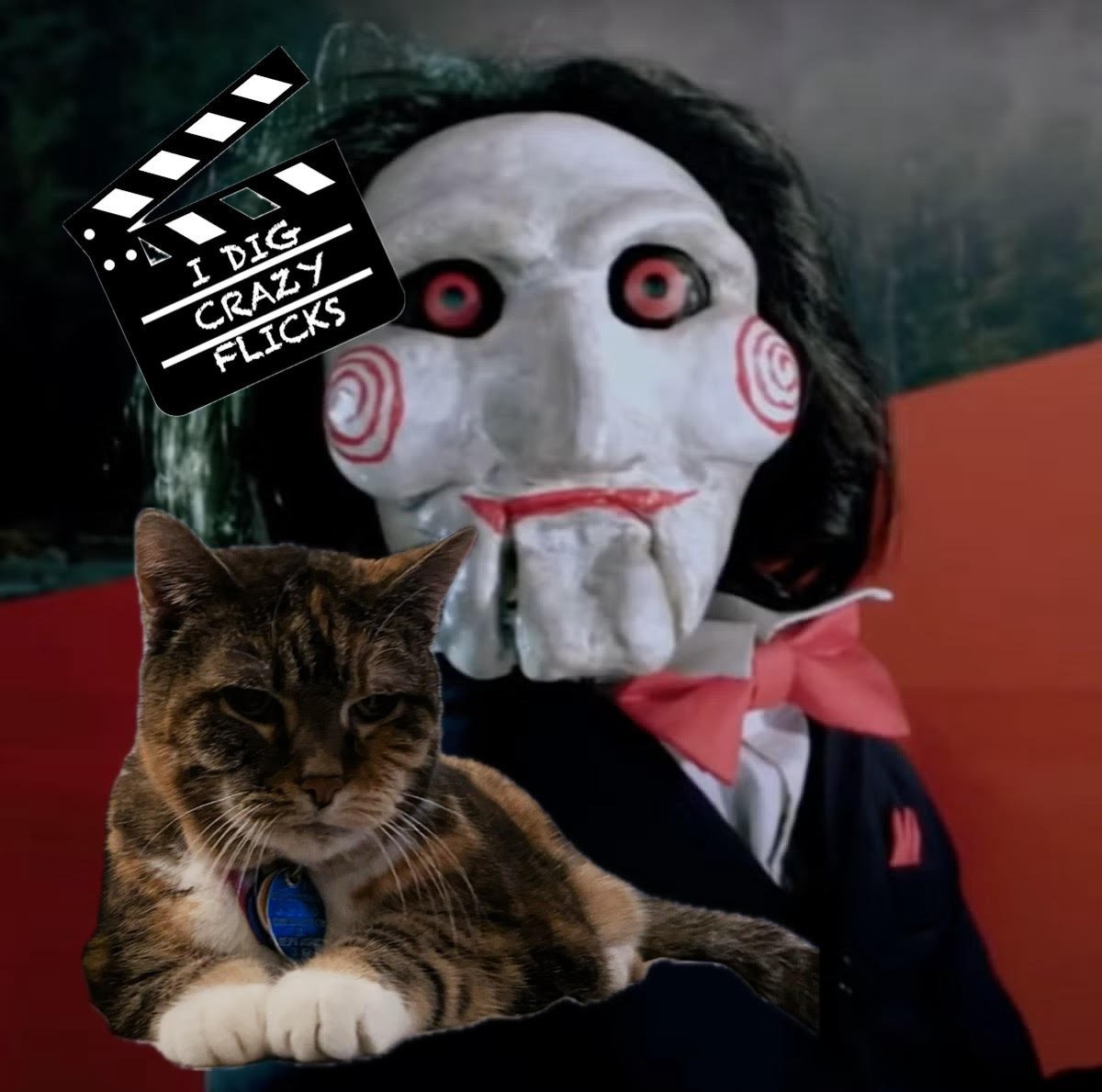 Eva the Queen Kitty relaxing with Billy the Puppet