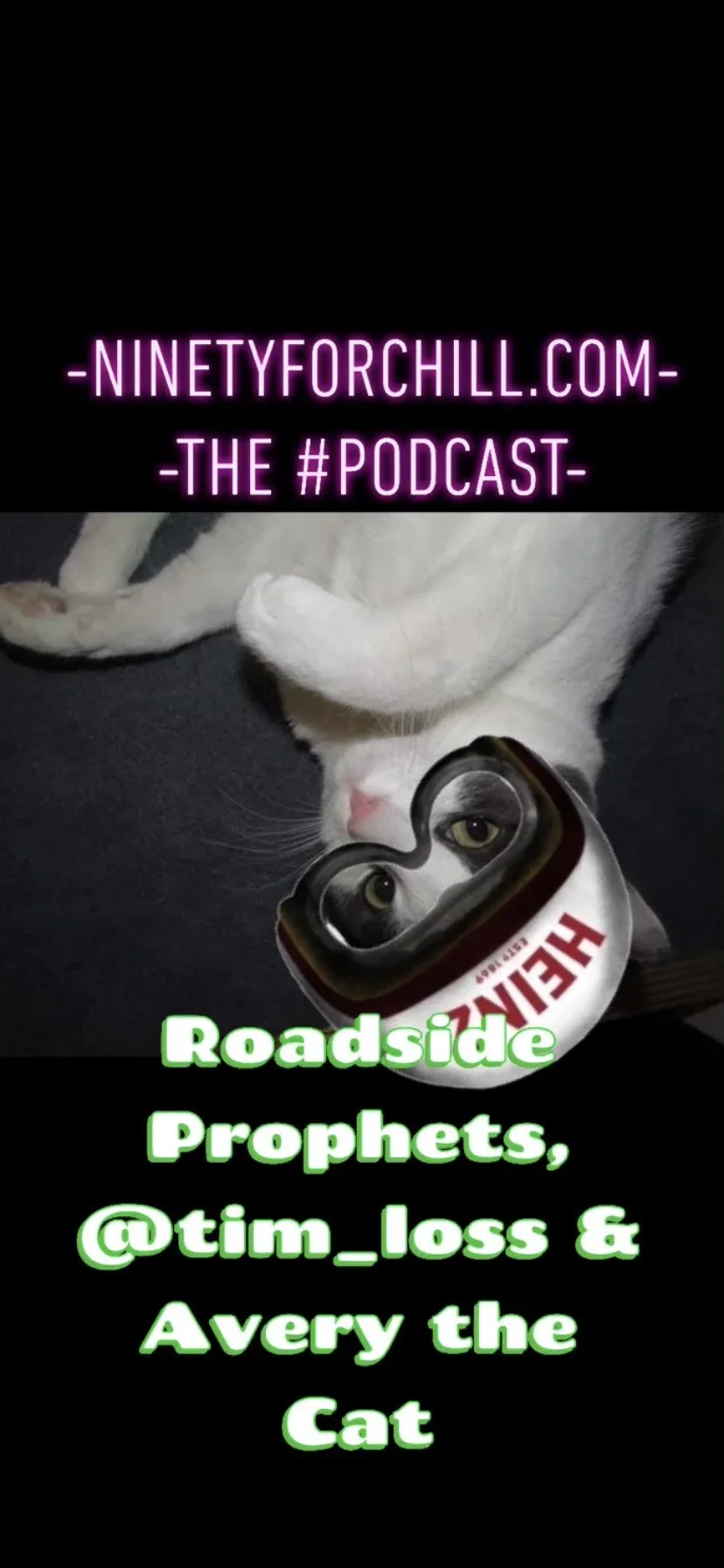 Avery the Cat ready for the road