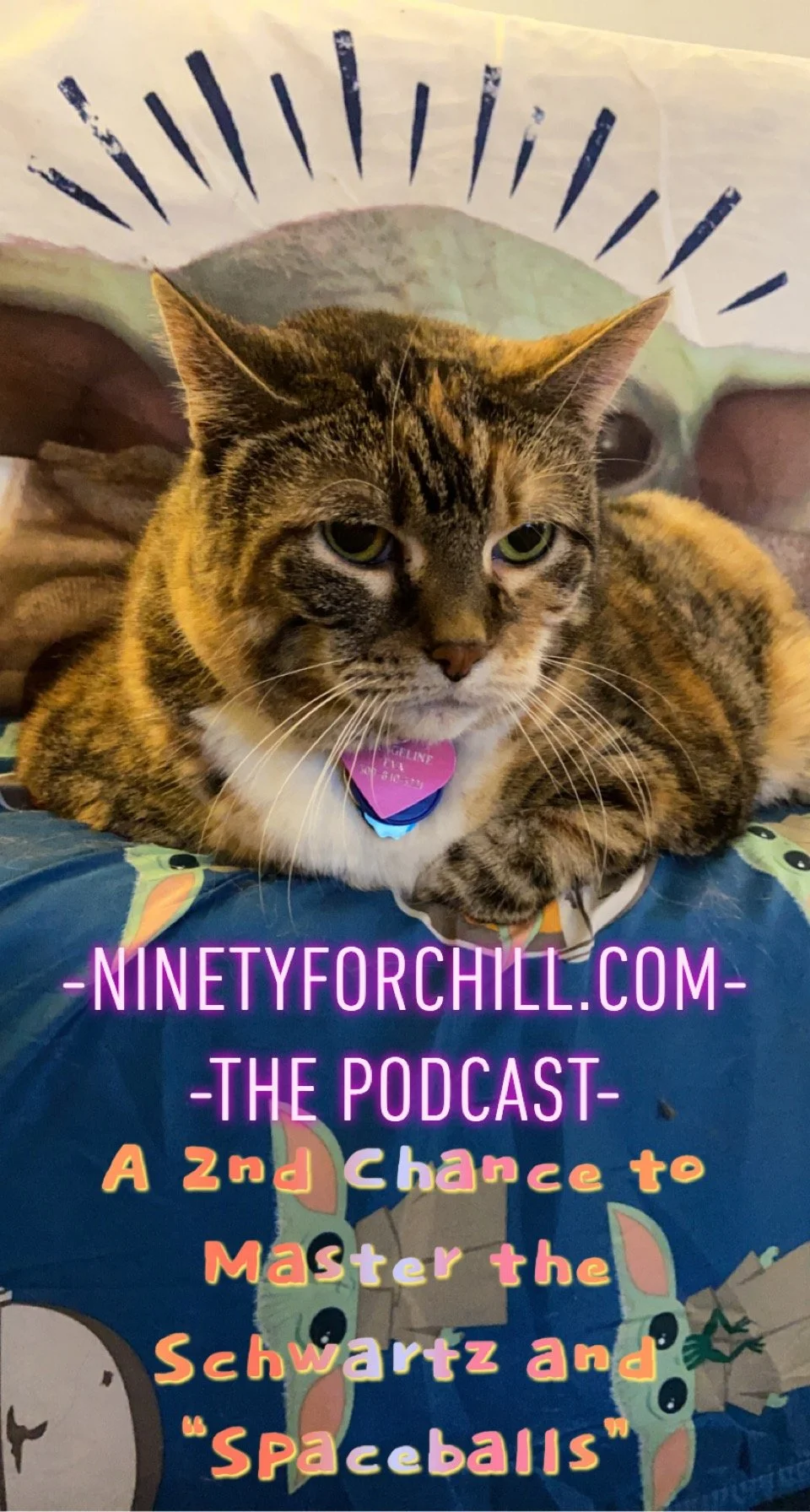 Eva the Queen Kitty on Mandalorian sheets