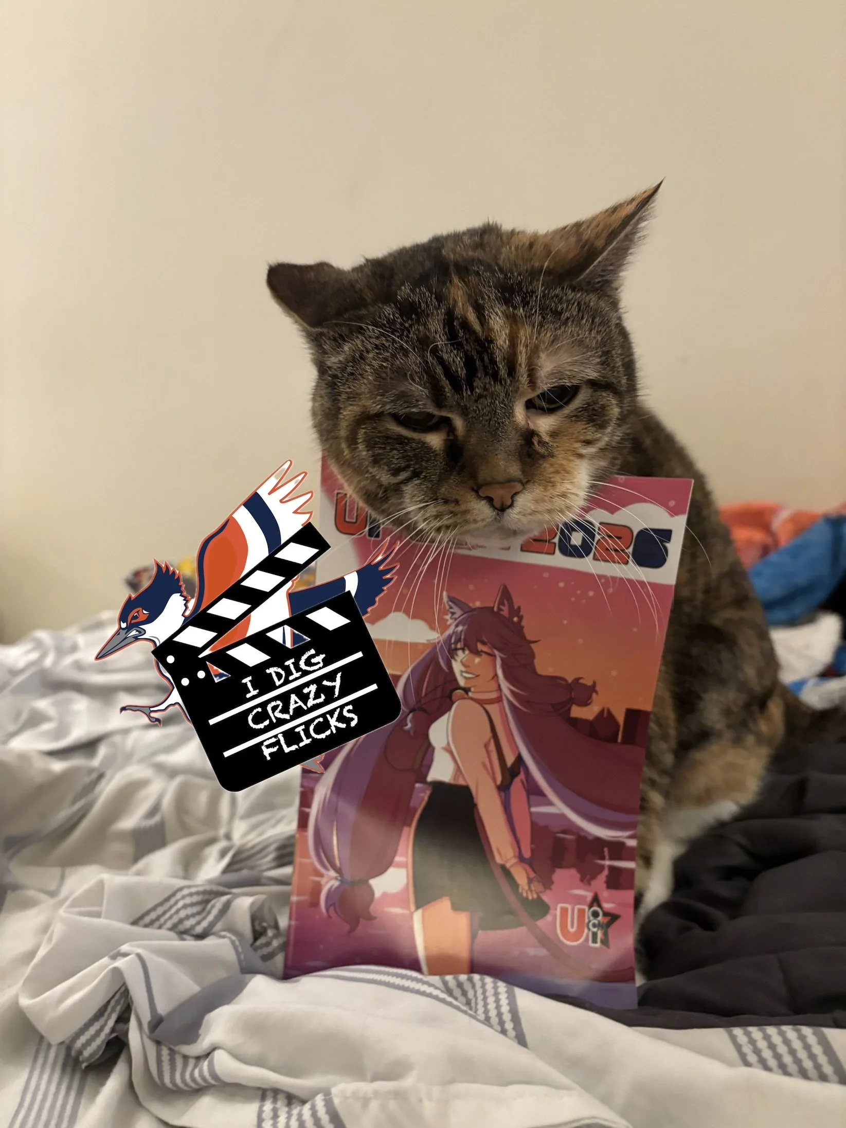 Eva the Queen Kitty giving CatBus the look he felt the anime fans of UI-Con were giving him