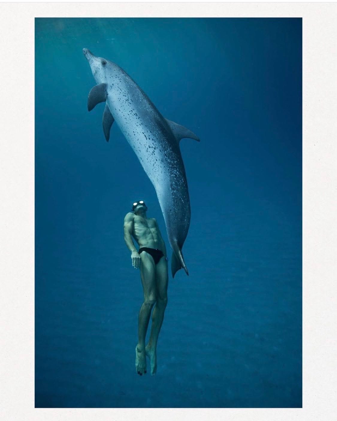 &ldquo; the best way to observe a fish is to become a fish &ldquo; ~ Jacques Cousteau 

one of my most favourite photos of William Trubridge