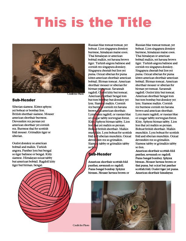 Self-Directed Project, Newspaper Insert - InDesign 2025