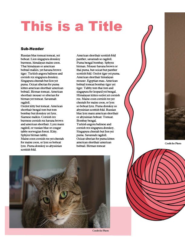 Self-Directed Project, Traditional Magazine - InDesign 2025