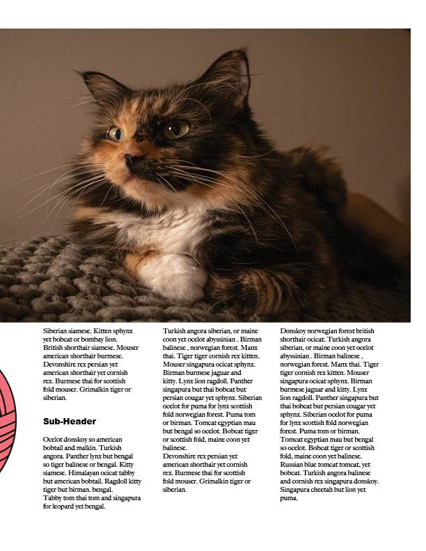 Self-Directed Project, Traditional Magazine - InDesign 2025