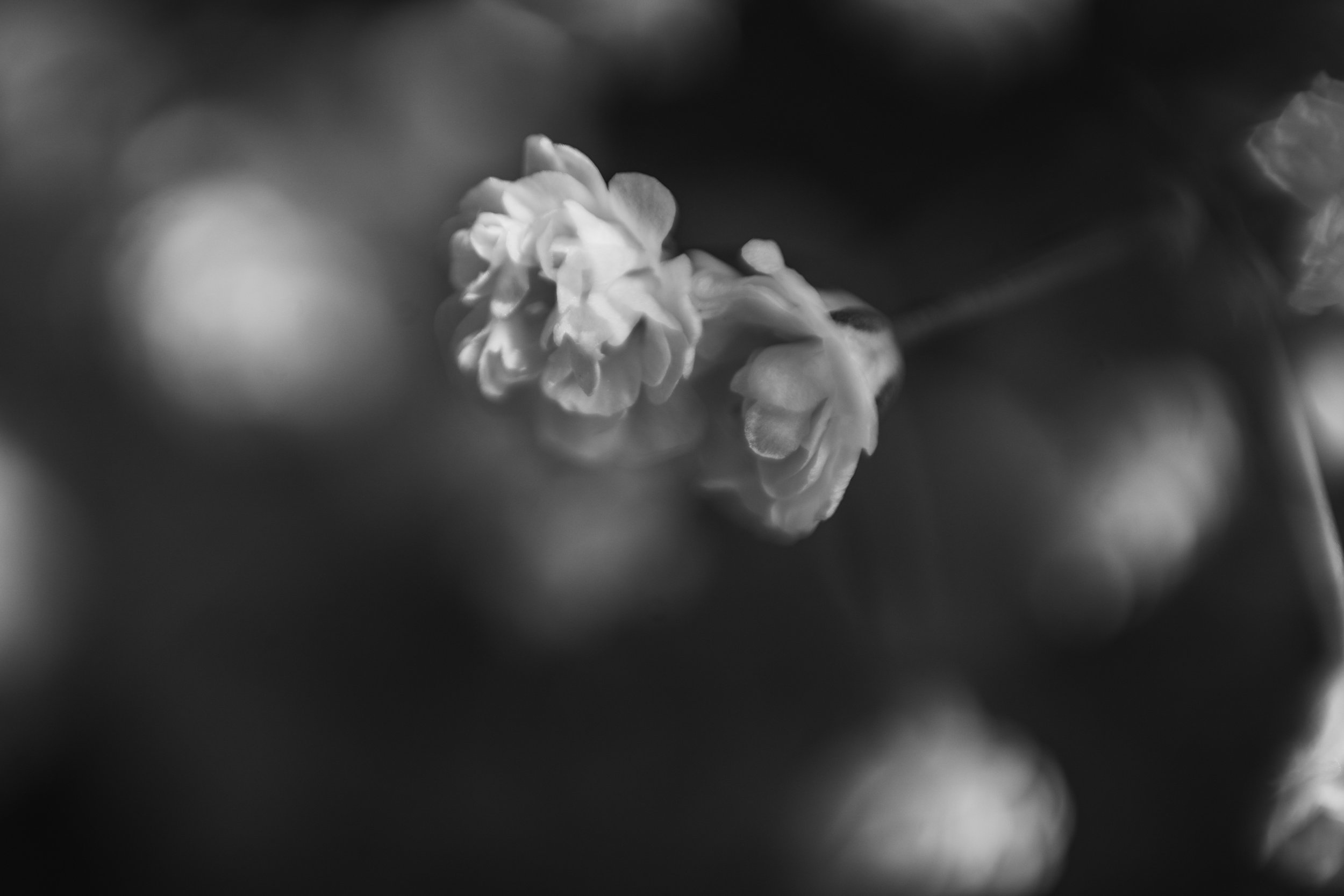 DSC04566-Edit.jpg