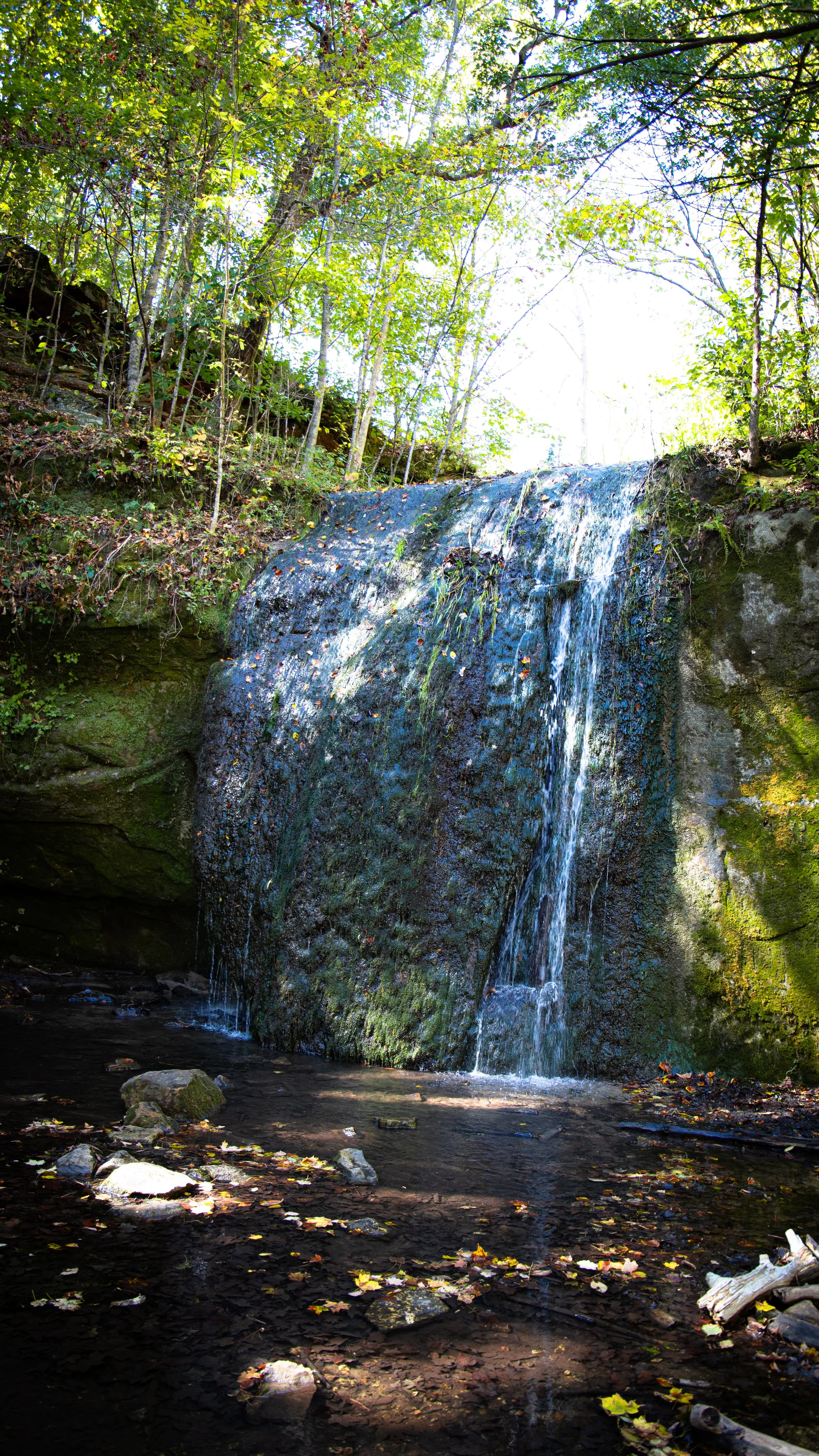  The steady rushing of the waterfall. 