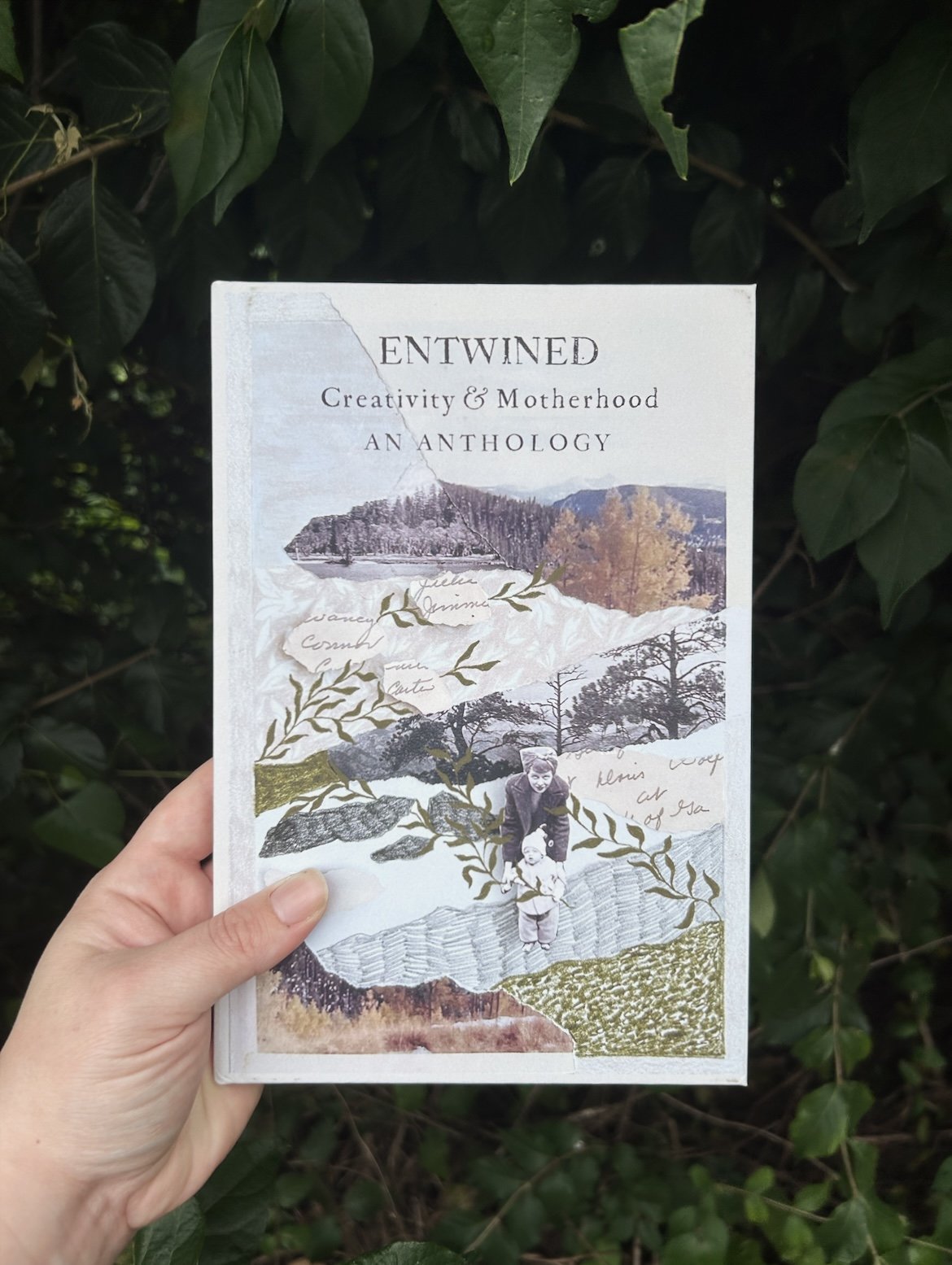  Hardcover copy of Entwined: an Anthology of Creativity &amp; Motherhood held in a person's hand against a background of leaves. The cover is a layered landscape collage with a mother holding a toddler's hands and leaves drawn around her. 