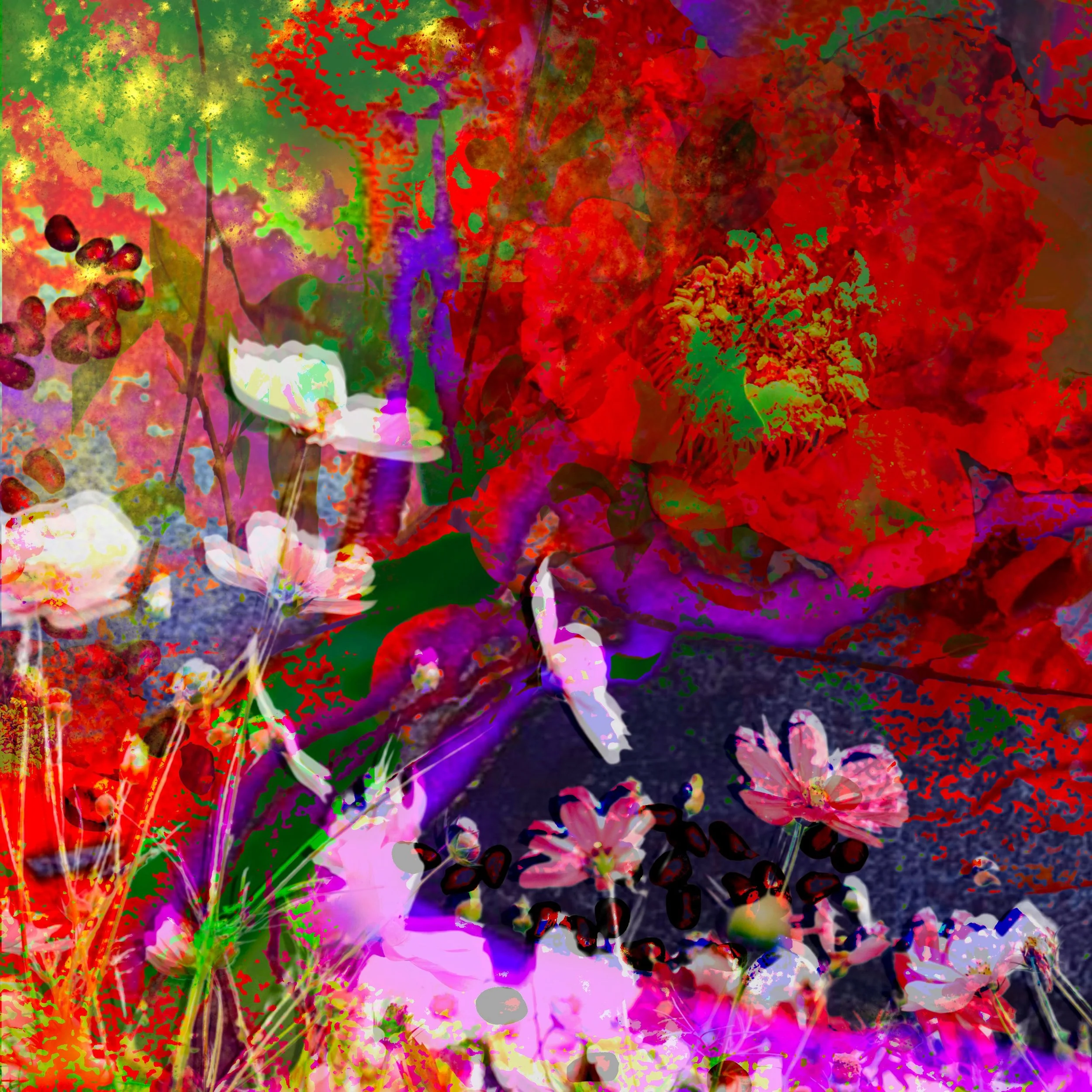 Footfall of the Flower Spring