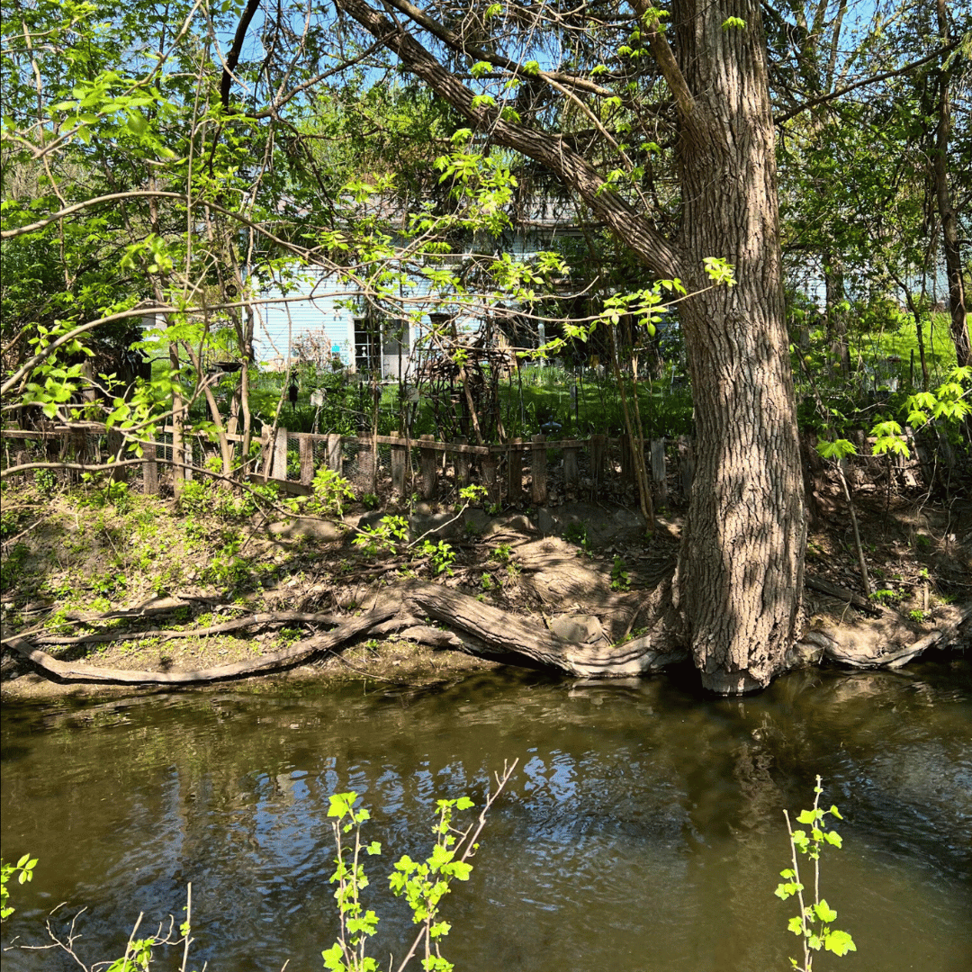Gathering inspiration at the Yahara River Trail