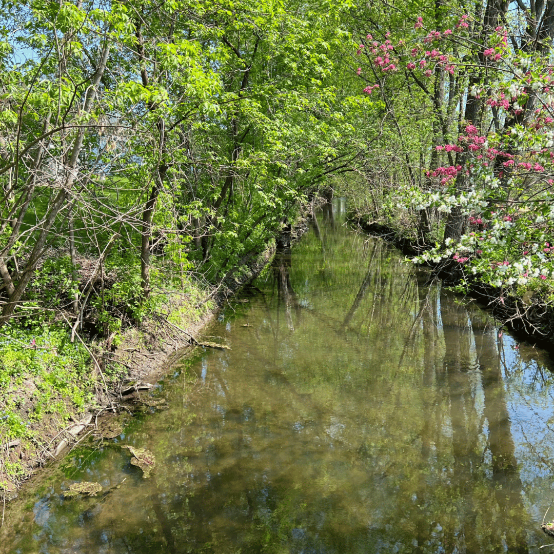 Gathering inspiration at the Yahara River Trail