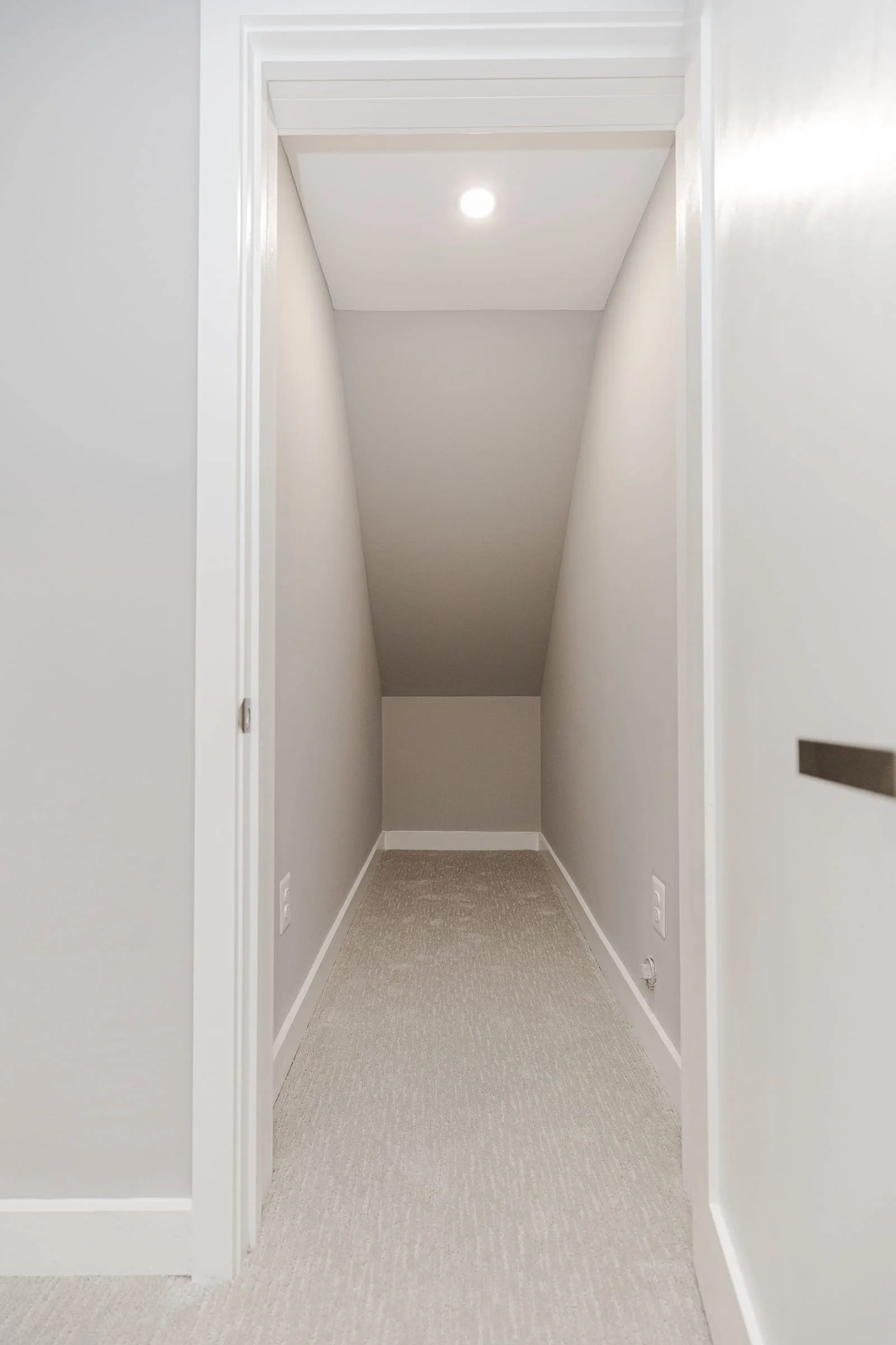 Basement 20779 Silverthistle Ct_KeoniToman_TheArchivePhotographyStudio-8.jpg