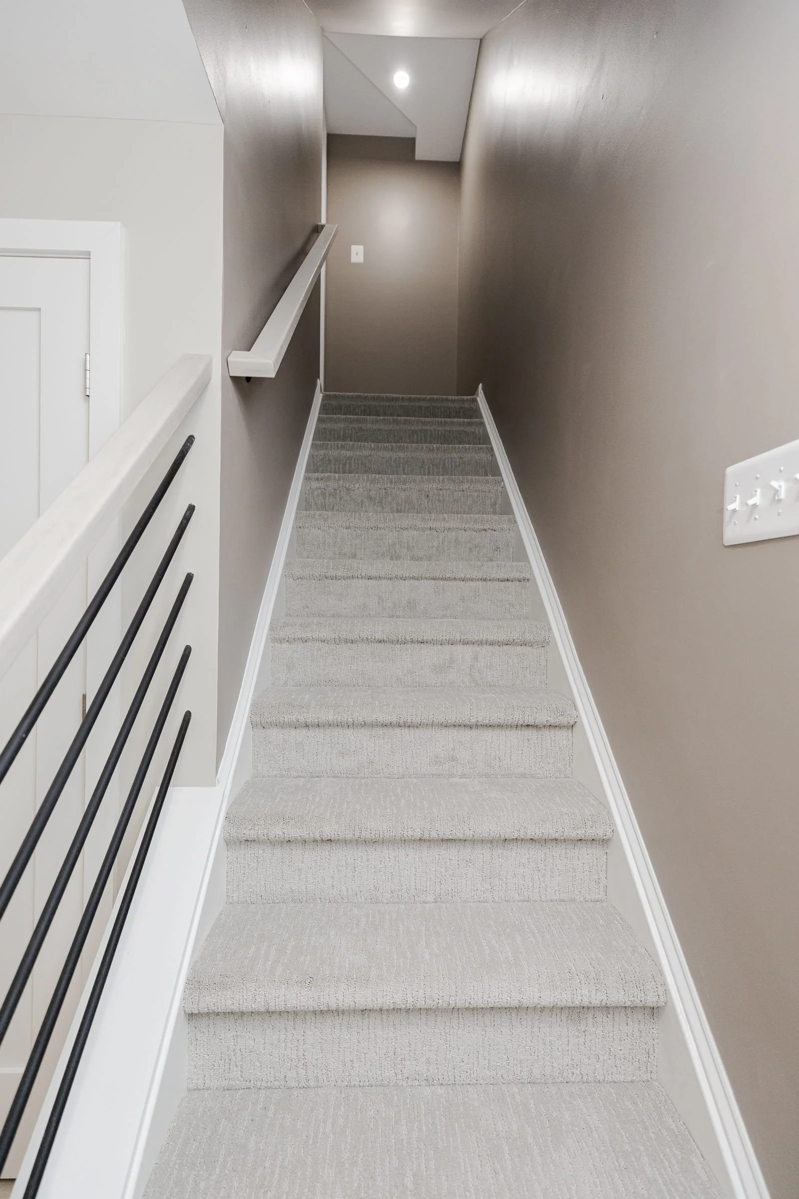 Basement 20779 Silverthistle Ct_KeoniToman_TheArchivePhotographyStudio-34.jpg