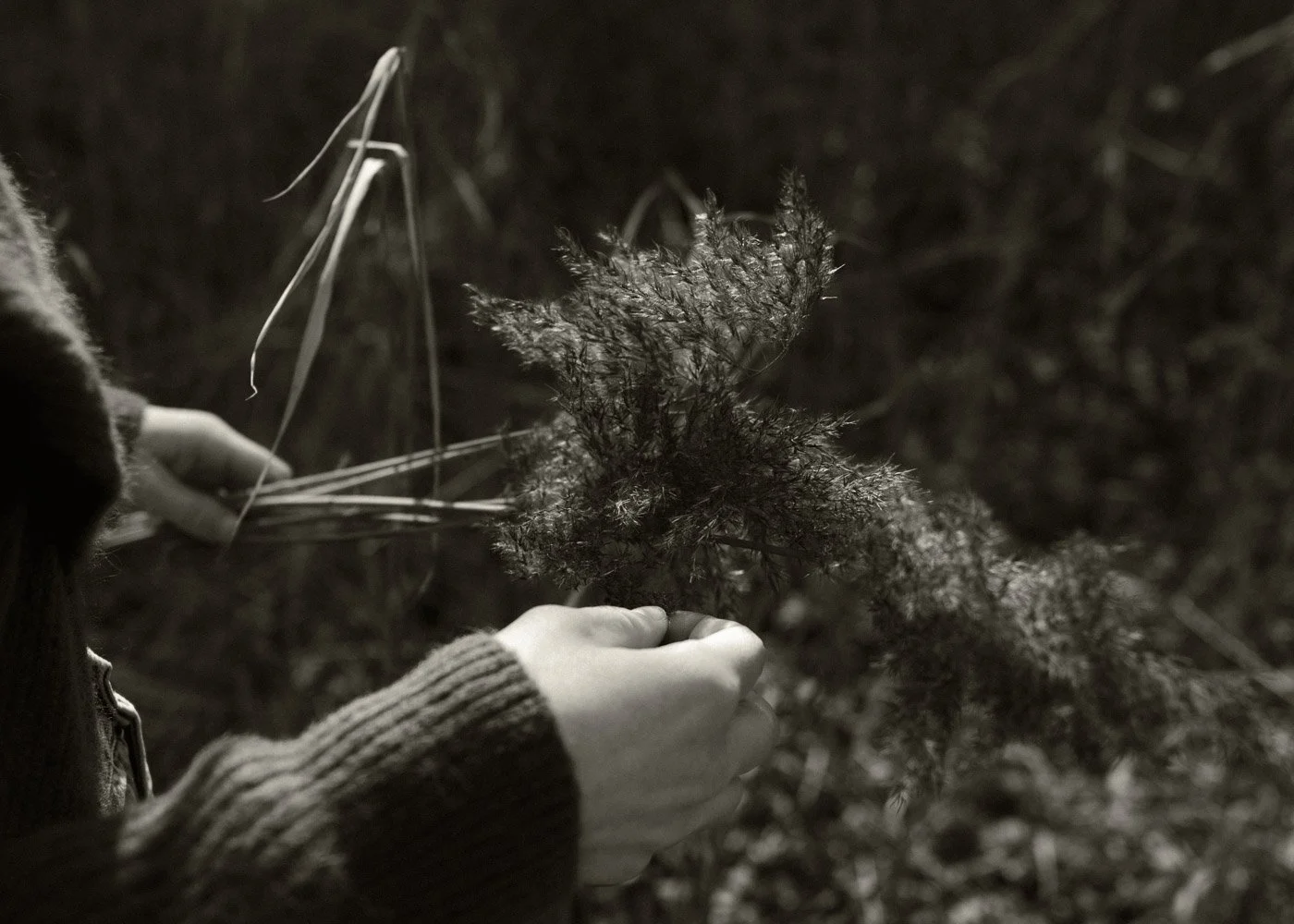 How Softness Made Me Braver: A Case for Feminine Success Without the Hustle