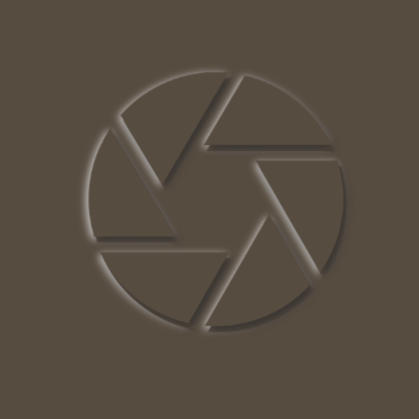 Elena Joy Photography Brown Logo