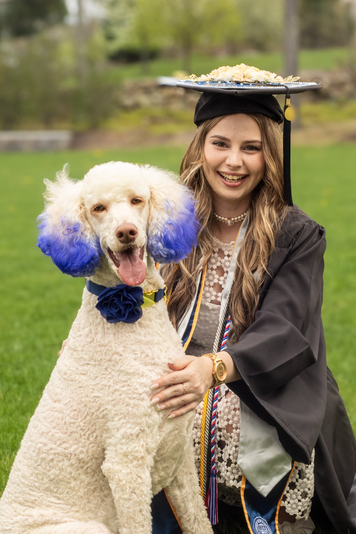 A woman in graduation attire smiling and hugging a dog with blue-dyed ears, outdoors on grass.