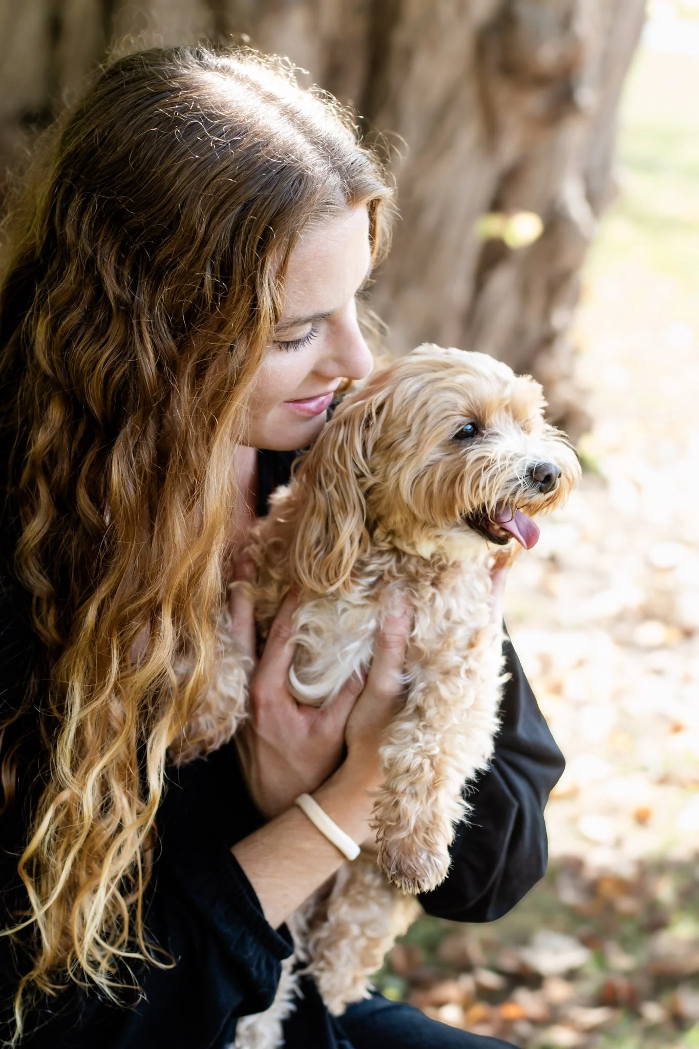 Senior Portraits, Nashua Nh, A woman with long, curly red hair holding a small, fluffy tan dog with its tongue out, sitting outdoors near a tree.