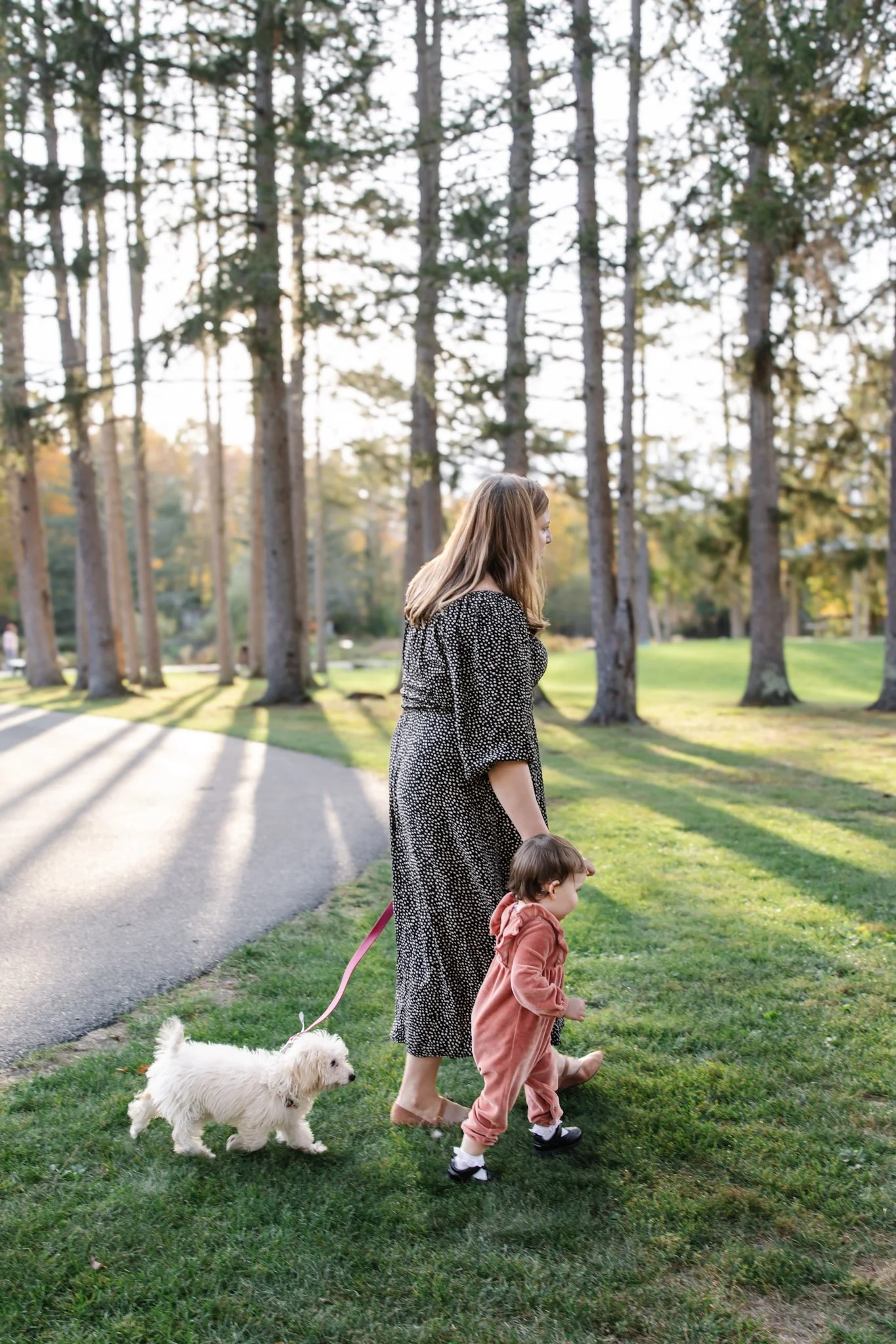 A woman walking in a park with a young child and a small white dog during late afternoon or early evening.