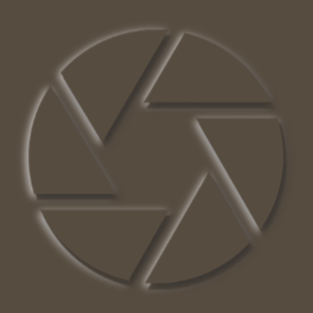 Elena Joy Photography Brown Logo