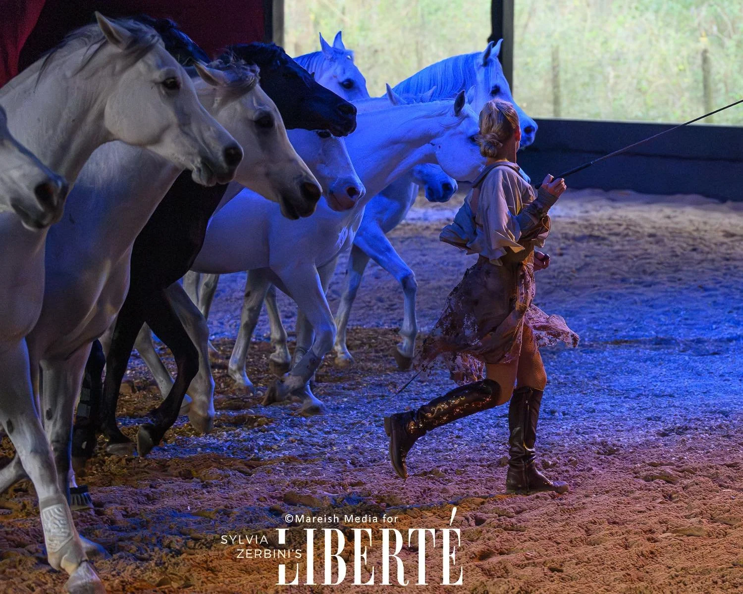 Sylvia Zerbini Liberty Clinic