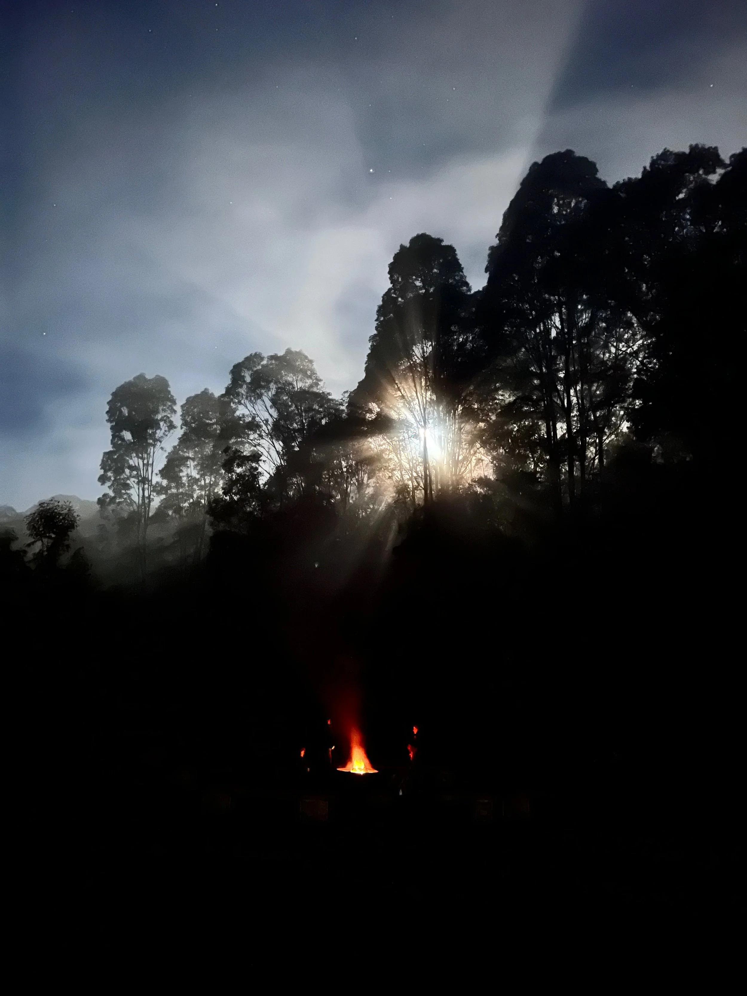 Transformation — The Space Between Who You Were and Who You Are Becoming