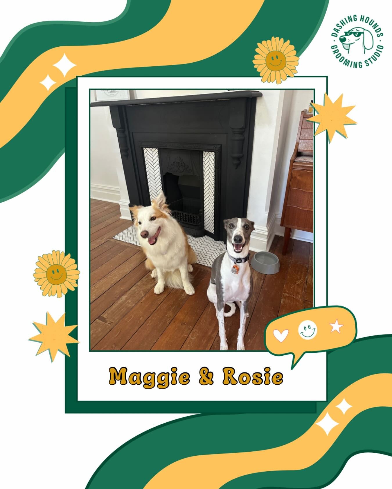 Everyone say 👋 to Maggie and Rosie, two very happy sisters.

These lovely pair have been coming to Dashing Hounds since November last year. Maggie was a little nervous to start but now we are friends and both her and Rosie have big smiles at the end
