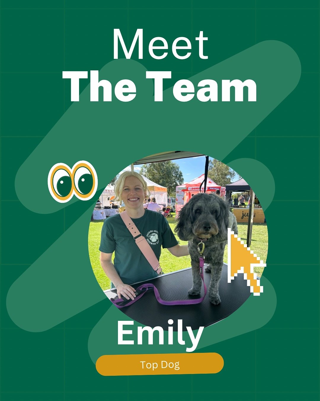 👋 Hi there! This is me Emily. I loooooove dogs. I used to work with people but that&rsquo;s too hard 😂. So here I am talking to dogs all day and scissoring away. 

#doggrooming #doglover #mountlawley #perthdogs #dogsofperth #perthpets #northperth #