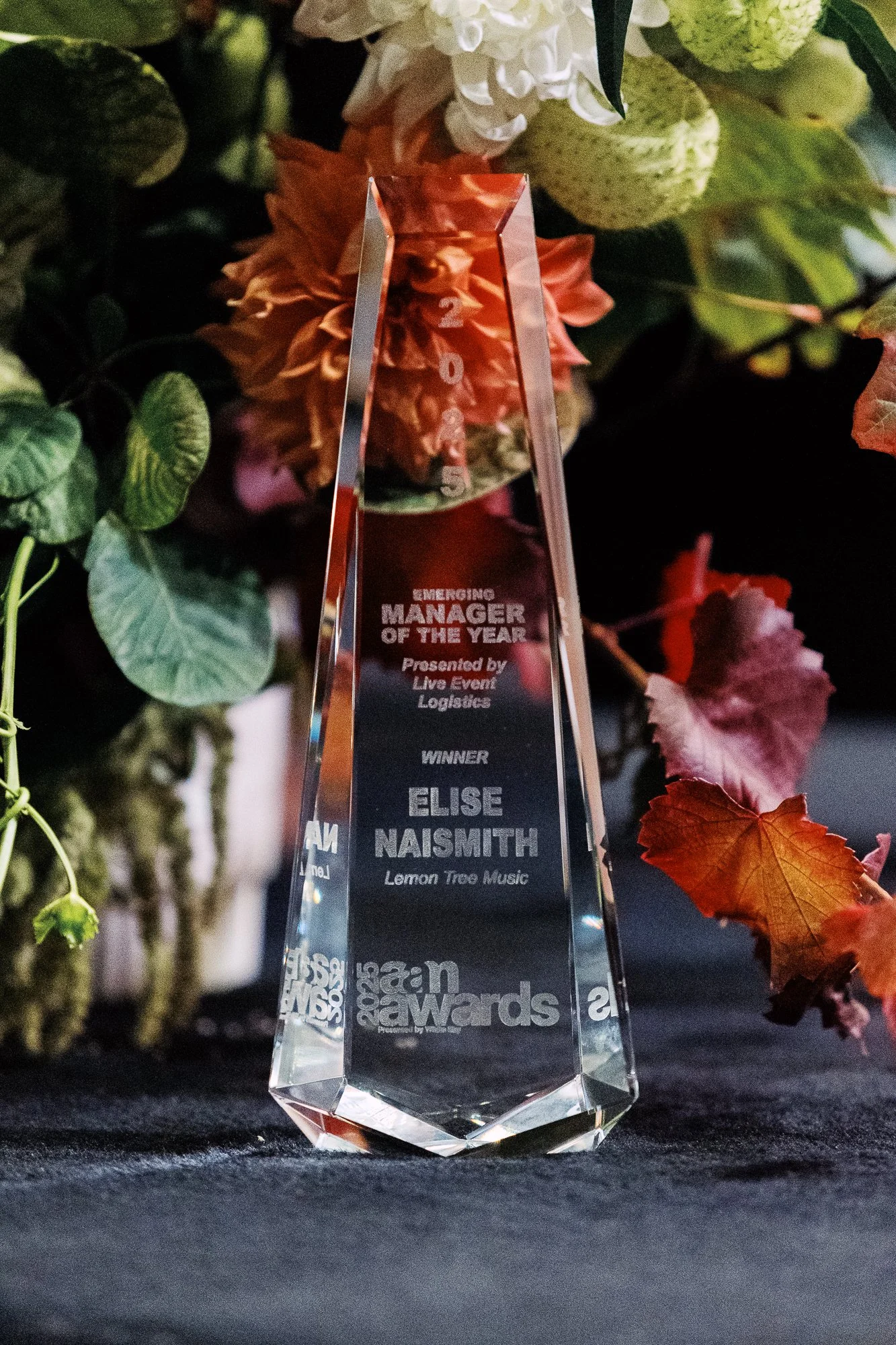 Copy of AAMA_JacintaKeefePhotography-6.jpg