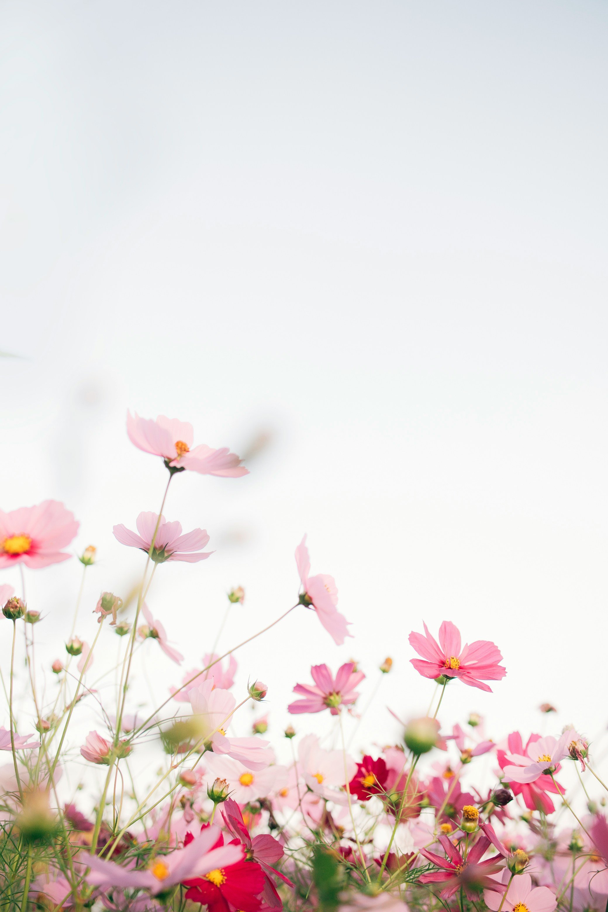 Professional Nanny Career Transition Workshop